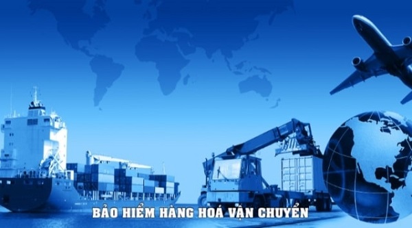 bảo hiểm hàng hóa vận chuyển nội địa